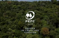 Retour en vidéo sur la visite de PEFC France en Guyane