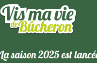Logo vis ma vie de bucheron