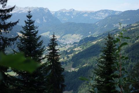 Débardage par hélicoptère en Haute-Savoie