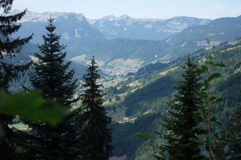 Offre de radio secours pour les travailleurs en forêt