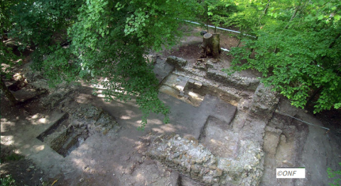 Les forêts font aussi partie du patrimoine!