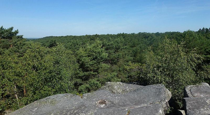 Fontainebleau