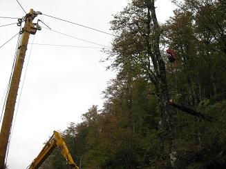 débardage par câble aérien