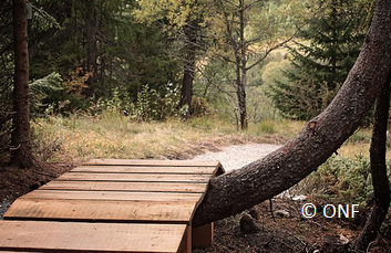 Exemple d’aménagement forestier pour le VTT