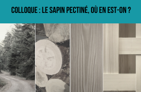 Colloque sapin pectiné