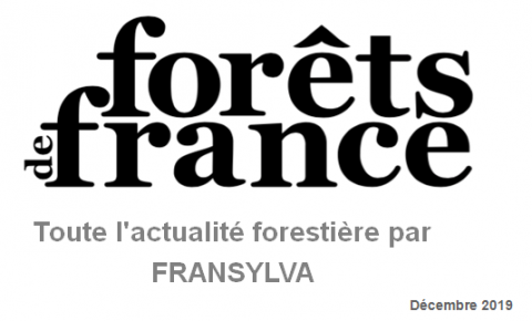 Forêts de France