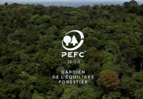 Retour en vidéo sur la visite de PEFC France en Guyane