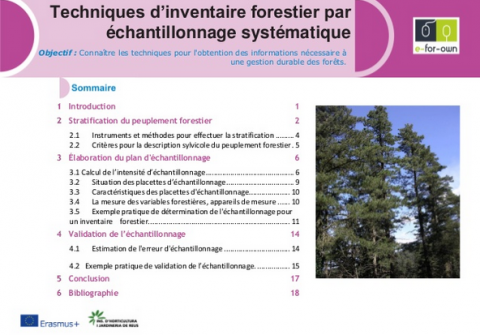 inventaire forestier 