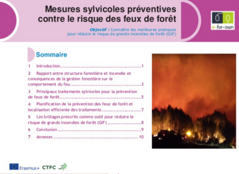 Prévenir le risque incendie