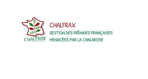 CHALFRAX