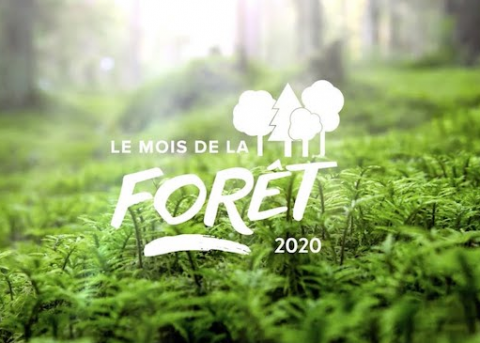 Mois de la forêt 2020