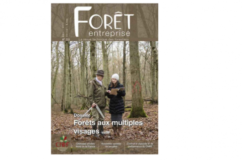 Forêt-entreprise n°233