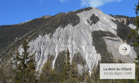 réserves biologiques de Tarentaise