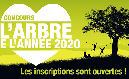 Arbre de l'année 2020