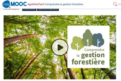 Impression écran MOOC gestion forestière