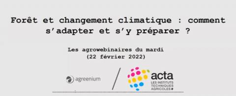 Webinaire forêt et changement climatique