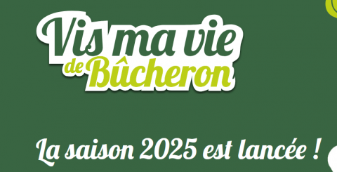 Logo vis ma vie de bucheron