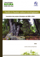 Forêts à hautes valeurs écologiques