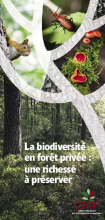 Biodiversité en forêt privée : une richesse à préserver